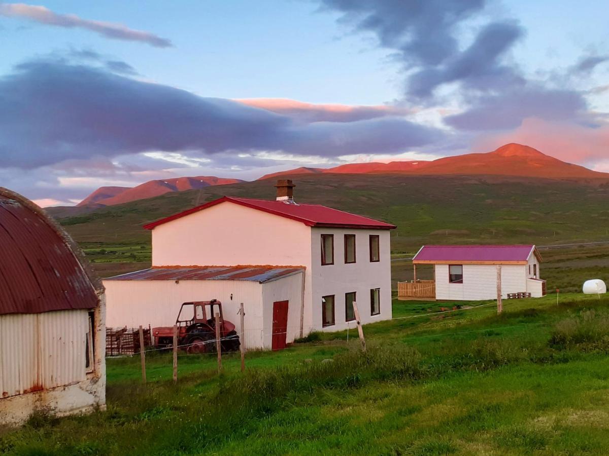 Skarth Guesthouse Saudarkrokur Esterno foto