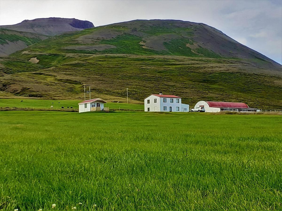 Skarth Guesthouse Saudarkrokur Esterno foto
