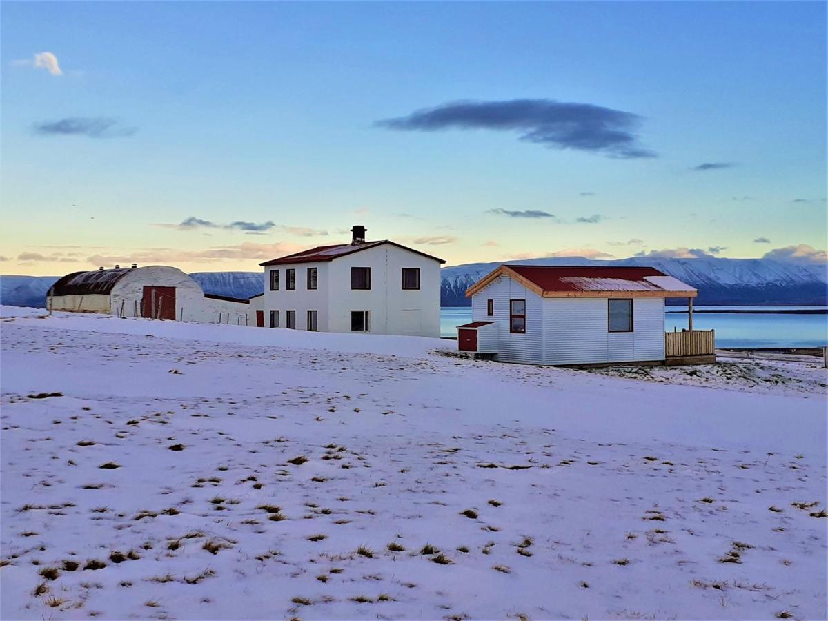Skarth Guesthouse Saudarkrokur Esterno foto