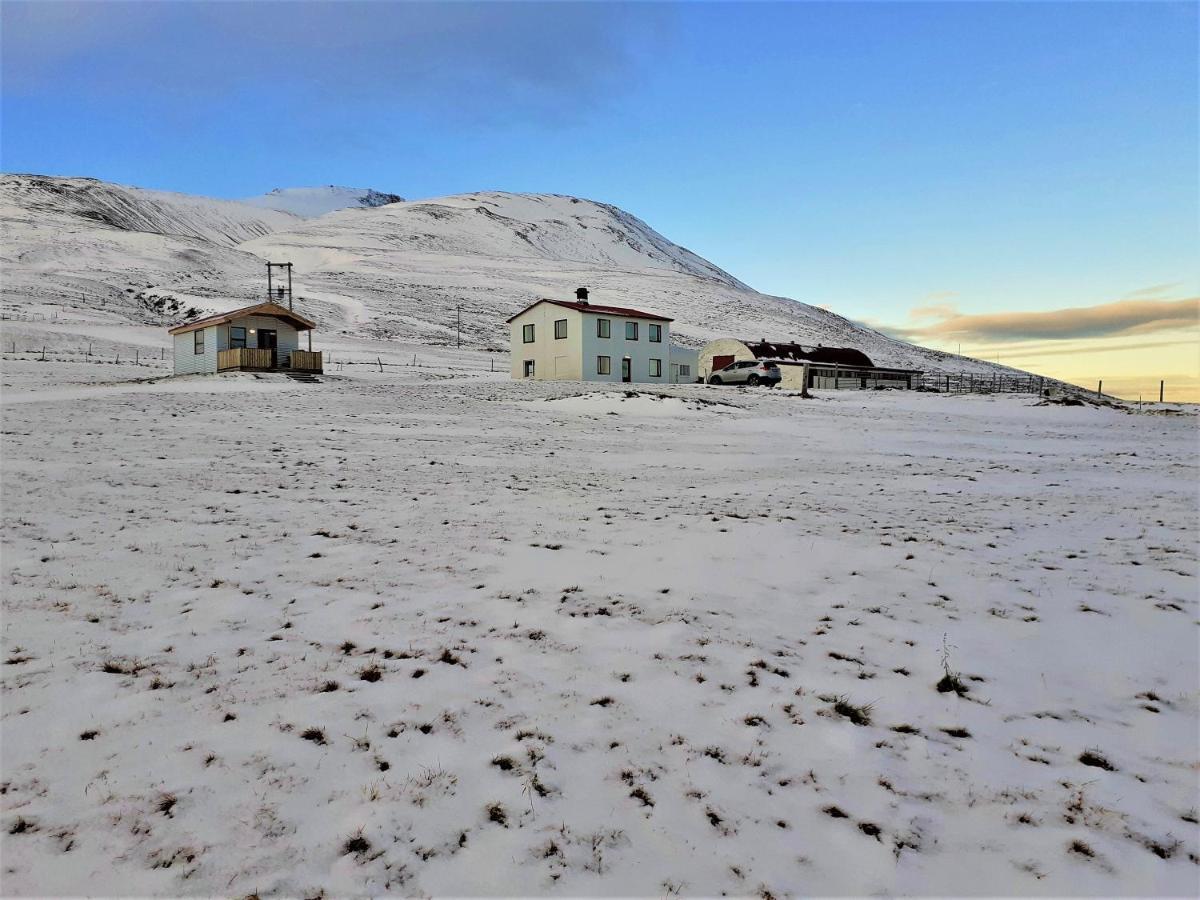 Skarth Guesthouse Saudarkrokur Esterno foto