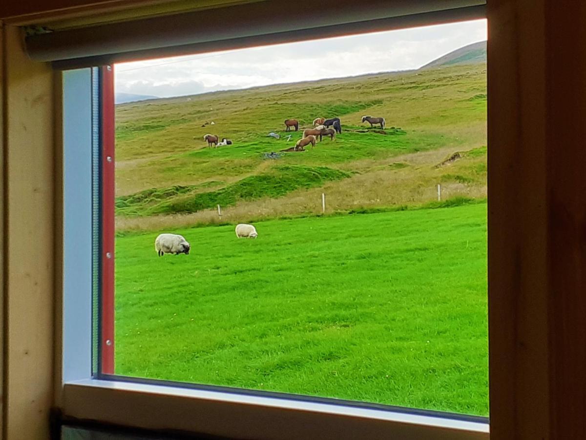 Skarth Guesthouse Saudarkrokur Esterno foto